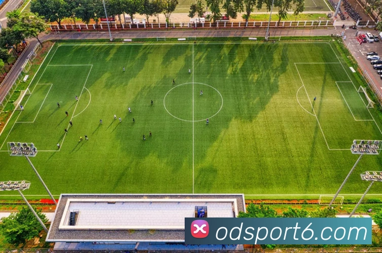 OD体育服务体系